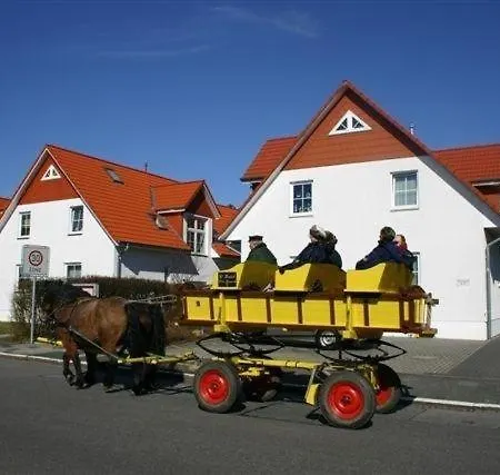 Neptun 12, 1 Duhnen